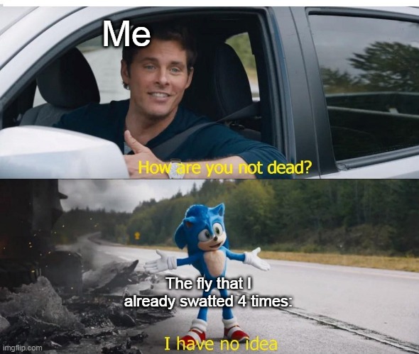 sonic how are you not dead | Me; The fly that I already swatted 4 times: | image tagged in sonic how are you not dead | made w/ Imgflip meme maker