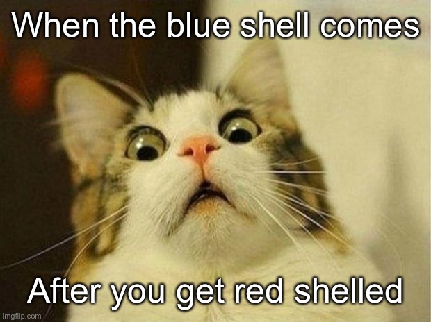 YOU JUST GOT BLUESHELLED from the creators of Red Shell | When the blue shell comes; After you get red shelled | image tagged in memes,scared cat,mario kart,wii,mario kart wii | made w/ Imgflip meme maker