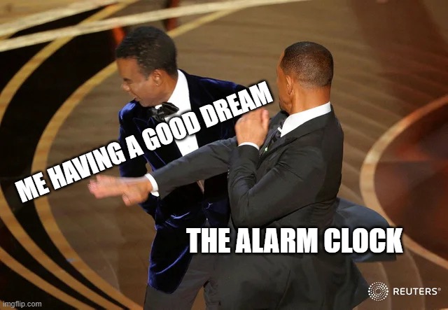 free pink peppercorns | ME HAVING A GOOD DREAM; THE ALARM CLOCK | image tagged in will smith punching chris rock | made w/ Imgflip meme maker