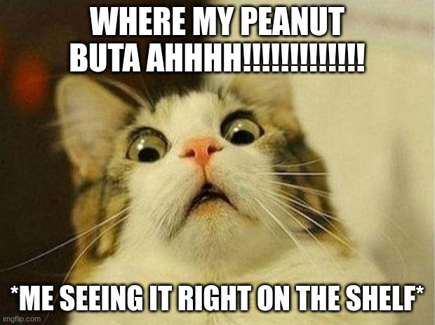 Scared Cat Meme | WHERE MY PEANUT BUTA AHHHH!!!!!!!!!!!!! *ME SEEING IT RIGHT ON THE SHELF* | image tagged in memes,scared cat | made w/ Imgflip meme maker