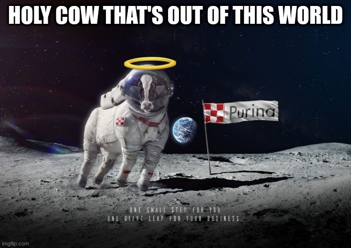 Cow on Da Moon | HOLY COW THAT'S OUT OF THIS WORLD | image tagged in cow on da moon | made w/ Imgflip meme maker