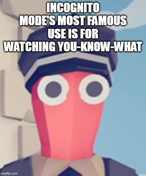 TABS Stare | INCOGNITO MODE'S MOST FAMOUS USE IS FOR WATCHING YOU-KNOW-WHAT | image tagged in tabs stare | made w/ Imgflip meme maker