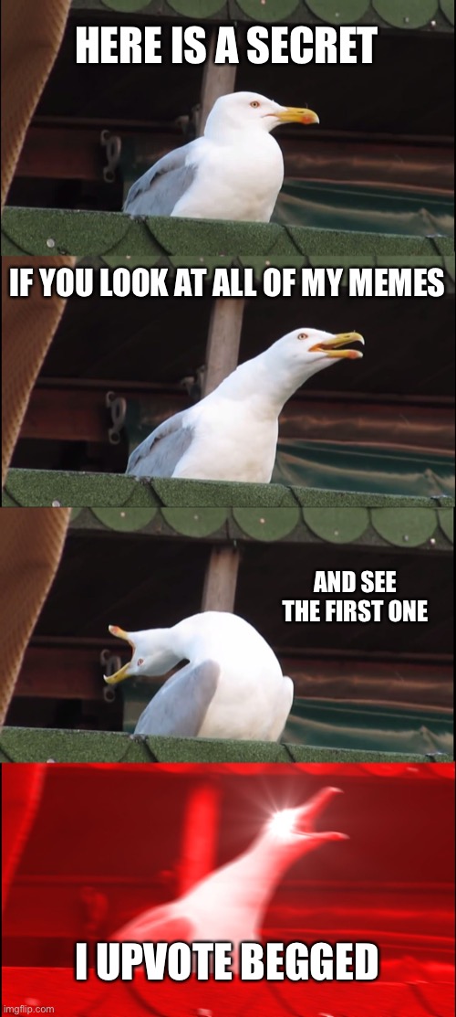 I did a oh no | HERE IS A SECRET; IF YOU LOOK AT ALL OF MY MEMES; AND SEE THE FIRST ONE; I UPVOTE BEGGED | image tagged in memes,inhaling seagull,upvote begging | made w/ Imgflip meme maker