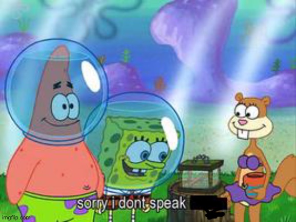 Sorry I don't speak ____ | image tagged in sorry i don't speak ____ | made w/ Imgflip meme maker