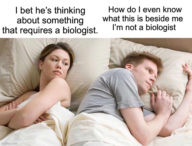 How do they know without being biologists | How do I even know what this is beside me  
I’m not a biologist; I bet he’s thinking about something that requires a biologist. | image tagged in memes,i bet he's thinking about other women,politics lol | made w/ Imgflip meme maker