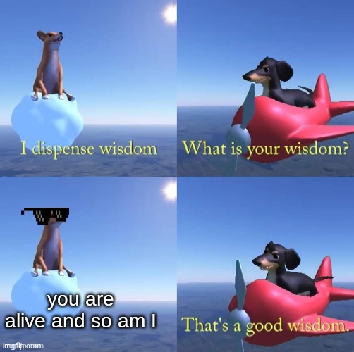 Wisdom dog |  you are alive and so am I | image tagged in wisdom dog | made w/ Imgflip meme maker
