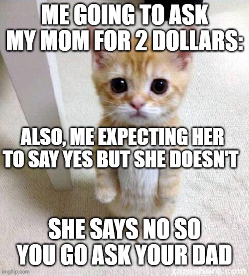 fax | ME GOING TO ASK MY MOM FOR 2 DOLLARS:; ALSO, ME EXPECTING HER TO SAY YES BUT SHE DOESN'T; SHE SAYS NO SO YOU GO ASK YOUR DAD | image tagged in memes,cute cat | made w/ Imgflip meme maker