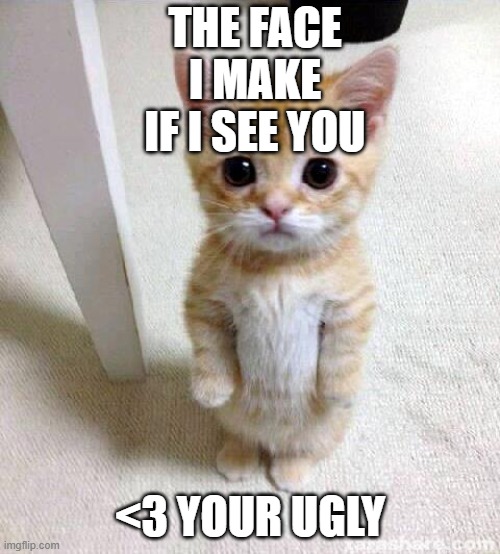 Cute Cat Meme | THE FACE I MAKE IF I SEE YOU; <3 YOUR UGLY | image tagged in memes,cute cat | made w/ Imgflip meme maker