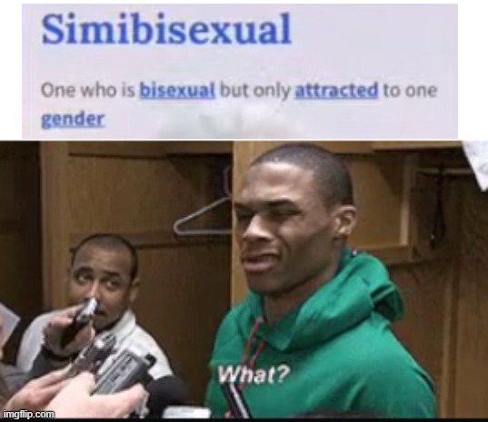 I dont get lgbtq sometimes | image tagged in what | made w/ Imgflip meme maker