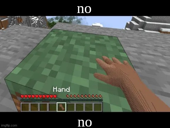Hand touching Minecraft grass block | no no | image tagged in hand touching minecraft grass block | made w/ Imgflip meme maker