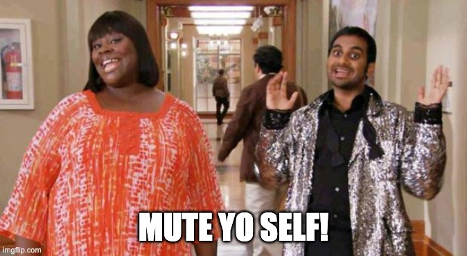 Mute Yo Self | MUTE YO SELF! | image tagged in treat yo self,parks and rec,zoom,work from home,video calls,mute | made w/ Imgflip meme maker