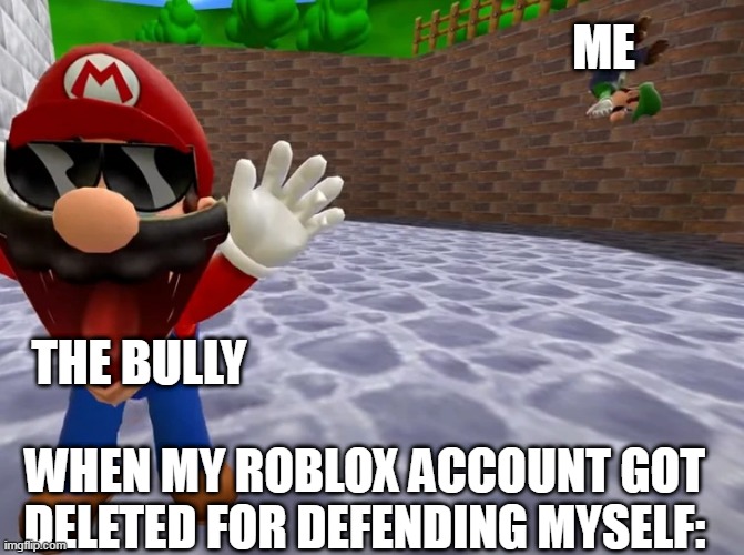when my roblox account got deleted for defending myself from the bully: | ME; THE BULLY; WHEN MY ROBLOX ACCOUNT GOT DELETED FOR DEFENDING MYSELF: | image tagged in luigi falling | made w/ Imgflip meme maker
