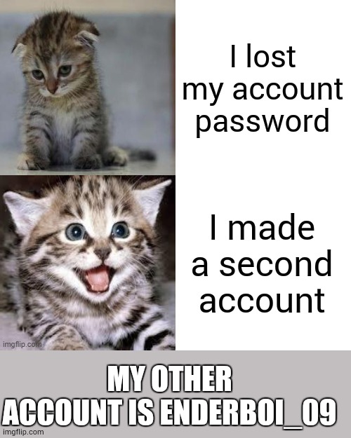 seriously look at my other memes | I lost my account password; I made a second account; MY OTHER ACCOUNT IS ENDERBOI_09 | image tagged in sad cat to happy cat | made w/ Imgflip meme maker