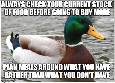 Sound advice for everyone. Waste not want not. | ALWAYS CHECK YOUR CURRENT STOCK OF FOOD BEFORE GOING TO BUY MORE PLAN MEALS AROUND WHAT YOU HAVE RATHER THAN WHAT YOU DON'T HAVE | image tagged in memes,actual advice mallard,food,animals | made w/ Imgflip meme maker