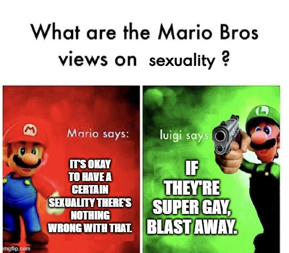 Luigi | sexuality; IT'S OKAY TO HAVE A CERTAIN SEXUALITY THERE'S NOTHING WRONG WITH THAT. IF THEY'RE SUPER GAY, BLAST AWAY. | image tagged in mario bros views | made w/ Imgflip meme maker
