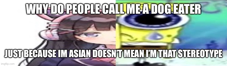 lol | WHY DO PEOPLE CALL ME A DOG EATER; JUST BECAUSE IM ASIAN DOESN’T MEAN I’M THAT STEREOTYPE | image tagged in lol | made w/ Imgflip meme maker