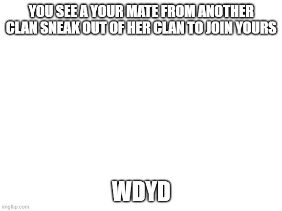 random | YOU SEE A YOUR MATE FROM ANOTHER CLAN SNEAK OUT OF HER CLAN TO JOIN YOURS; WDYD | image tagged in blank white template | made w/ Imgflip meme maker