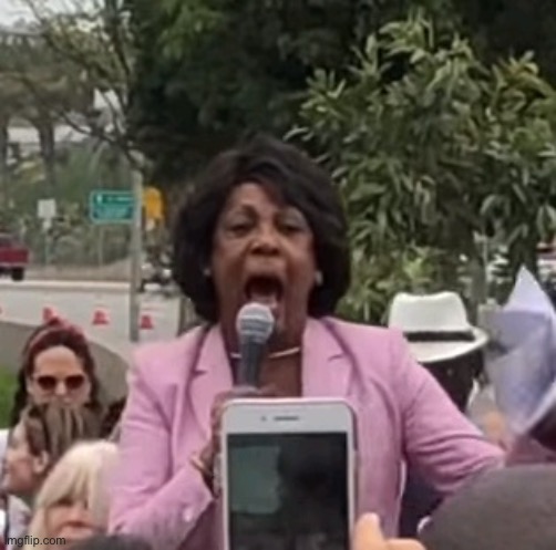 Maxine Waters | image tagged in maxine waters | made w/ Imgflip meme maker