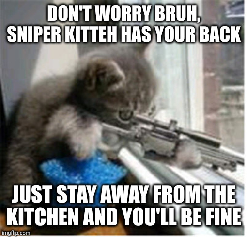 Hitman lolcat | DON'T WORRY BRUH, SNIPER KITTEH HAS YOUR BACK; JUST STAY AWAY FROM THE KITCHEN AND YOU'LL BE FINE | image tagged in hitman lolcat | made w/ Imgflip meme maker