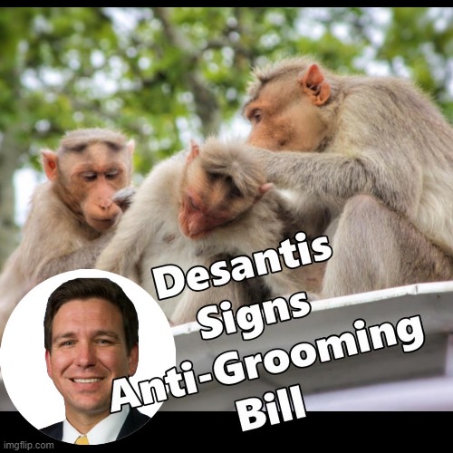 Fla Gov Signs Bill - Impacts Zoos More than You Think Folks | image tagged in desantis,florida,anti-grooming,memes | made w/ Imgflip meme maker