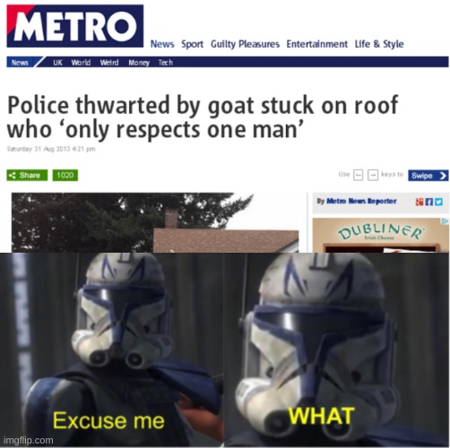 Goat | image tagged in excuse me what,still,out of ideas,memes,funny,funny memes | made w/ Imgflip meme maker
