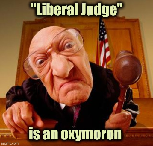 Mean Judge | "Liberal Judge" is an oxymoron | image tagged in mean judge | made w/ Imgflip meme maker