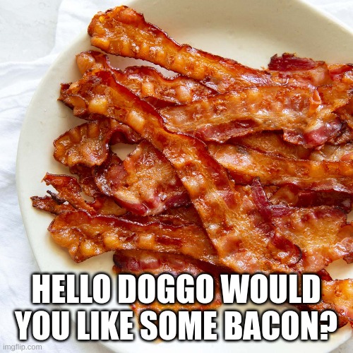 HELLO DOGGO WOULD YOU LIKE SOME BACON? | made w/ Imgflip meme maker