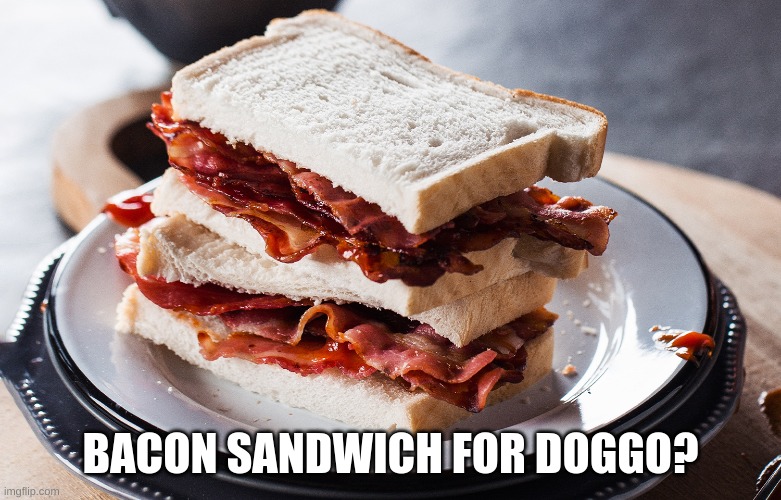 BACON SANDWICH FOR DOGGO? | made w/ Imgflip meme maker