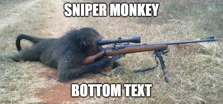 Sniper Monkey | SNIPER MONKEY BOTTOM TEXT | image tagged in sniper monkey | made w/ Imgflip meme maker