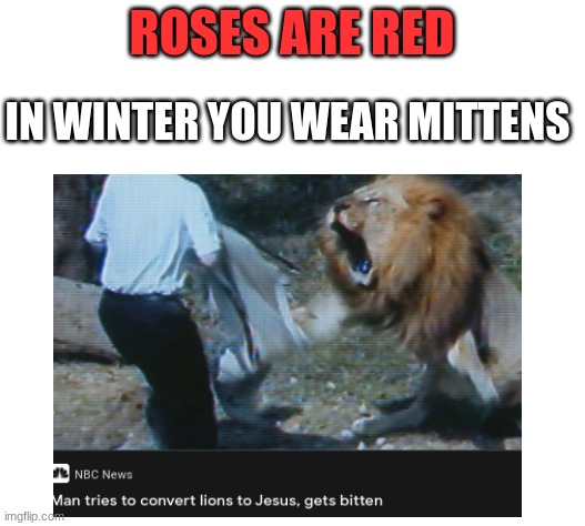 lion | ROSES ARE RED; IN WINTER YOU WEAR MITTENS | image tagged in roses are red | made w/ Imgflip meme maker