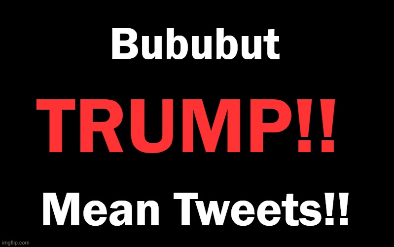 Black Color | Bububut TRUMP!! Mean Tweets!! | image tagged in black color | made w/ Imgflip meme maker