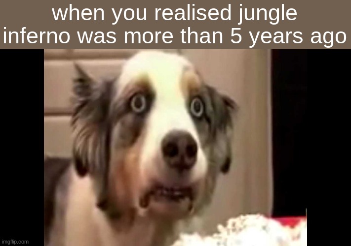 vietnam flashback dog | when you realised jungle inferno was more than 5 years ago | image tagged in vietnam flashback dog | made w/ Imgflip meme maker