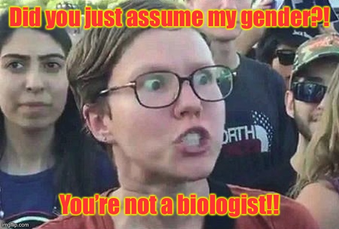 Triggered Liberal | Did you just assume my gender?! You’re not a biologist!! | image tagged in triggered liberal | made w/ Imgflip meme maker