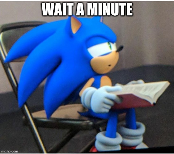 Sonic | WAIT A MINUTE | image tagged in sonic | made w/ Imgflip meme maker