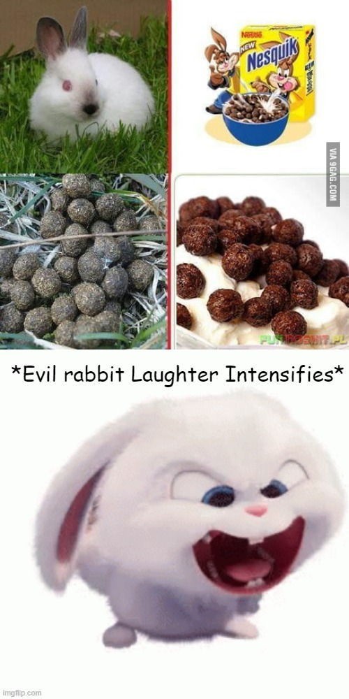 *Evil rabbit laughter* |  *Evil rabbit Laughter Intensifies* | image tagged in rabbit poop,lol,who,would,eat,that- | made w/ Imgflip meme maker