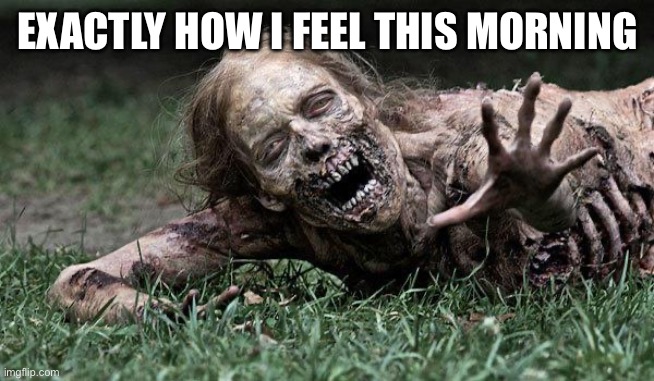 Good morning btw | EXACTLY HOW I FEEL THIS MORNING | image tagged in walking dead zombie | made w/ Imgflip meme maker
