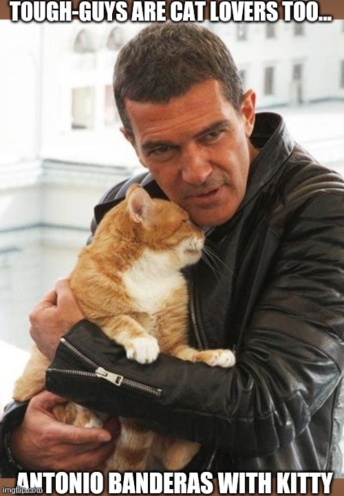 TOUGH-GUYS ARE CAT LOVERS TOO... ANTONIO BANDERAS WITH KITTY | image tagged in pet,kitty cat | made w/ Imgflip meme maker