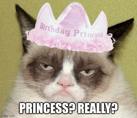Grumpy cat birthday | PRINCESS? REALLY? | image tagged in grumpy cat birthday | made w/ Imgflip meme maker
