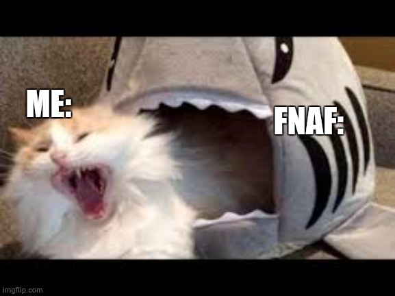 cat | ME:; FNAF: | image tagged in oh my god its here | made w/ Imgflip meme maker
