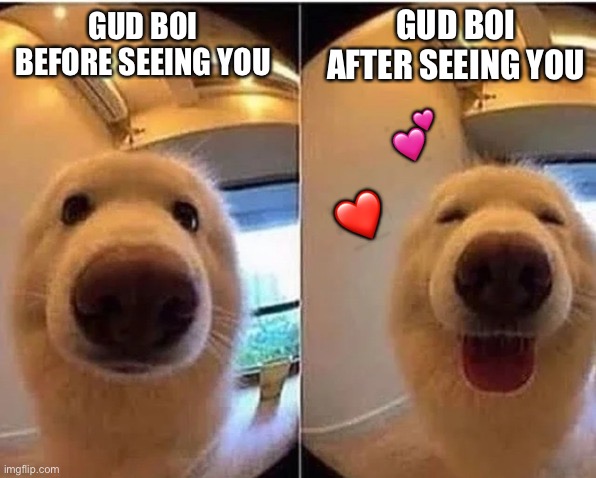 Happy Boi <3 | GUD BOI AFTER SEEING YOU; GUD BOI BEFORE SEEING YOU; 💕; ❤️ | image tagged in wholesome doggo,wholesome | made w/ Imgflip meme maker