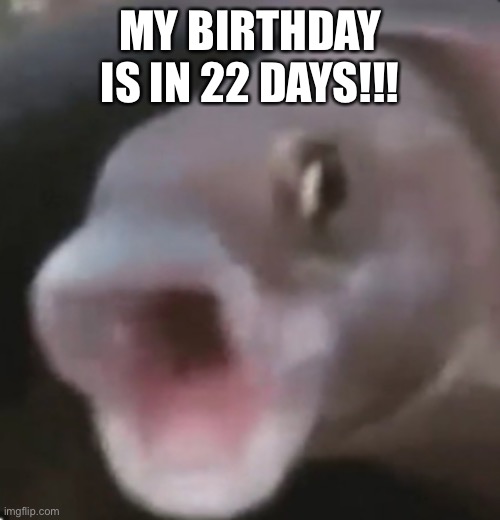 My mom’s birthday is tomorrow | MY BIRTHDAY IS IN 22 DAYS!!! | image tagged in poggers fish | made w/ Imgflip meme maker