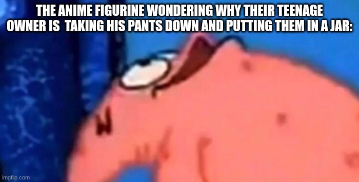Patrick looking up | THE ANIME FIGURINE WONDERING WHY THEIR TEENAGE OWNER IS  TAKING HIS PANTS DOWN AND PUTTING THEM IN A JAR: | image tagged in patrick looking up | made w/ Imgflip meme maker