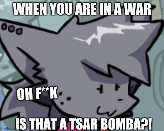 Kapi Oh F**k | WHEN YOU ARE IN A WAR; OH F**K; IS THAT A TSAR BOMBA?! | image tagged in meme,funny | made w/ Imgflip meme maker