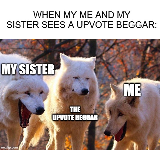 I was bored :| |  WHEN MY ME AND MY SISTER SEES A UPVOTE BEGGAR:; MY SISTER; ME; THE UPVOTE BEGGAR | image tagged in 2/3 wolves laugh | made w/ Imgflip meme maker