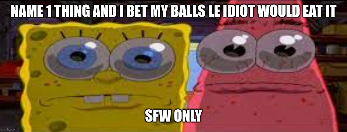 sobgih ans patbur | NAME 1 THING AND I BET MY BALLS LE IDIOT WOULD EAT IT; SFW ONLY | image tagged in sobgih ans patbur | made w/ Imgflip meme maker