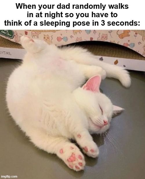 Yes, this is true | When your dad randomly walks in at night so you have to think of a sleeping pose in 3 seconds: | image tagged in sleeping cat meme | made w/ Imgflip meme maker