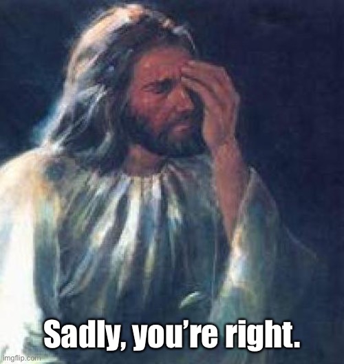 jesus facepalm | Sadly, you’re right. | image tagged in jesus facepalm | made w/ Imgflip meme maker