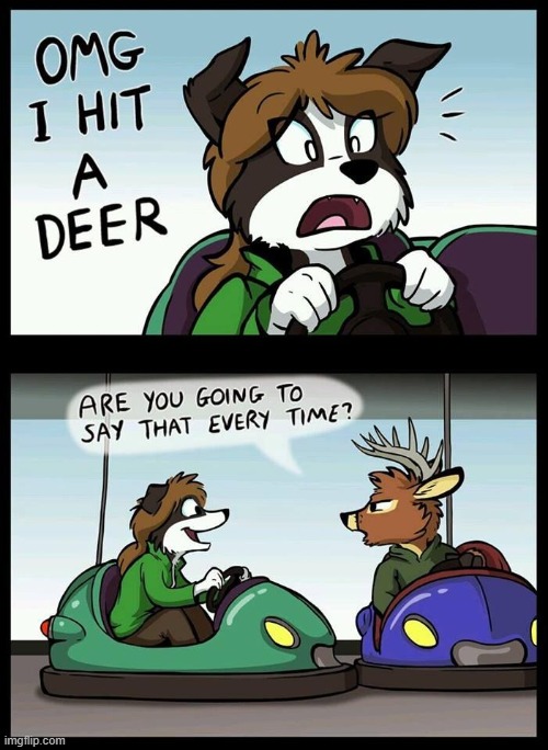 Yes. | image tagged in furry,funny,memes,deer,lol | made w/ Imgflip meme maker
