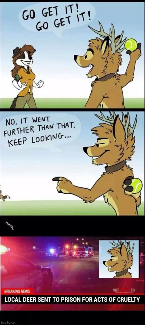 xD | image tagged in furry,funny,memes,deer,police,oh you're reading the tags good for you | made w/ Imgflip meme maker