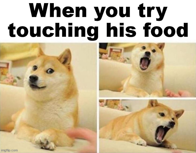 When you try touching his food | image tagged in dogs | made w/ Imgflip meme maker
